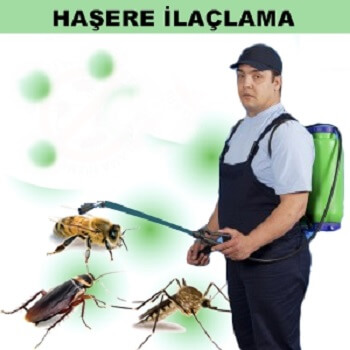 Arifiye Böcek İlaçlama